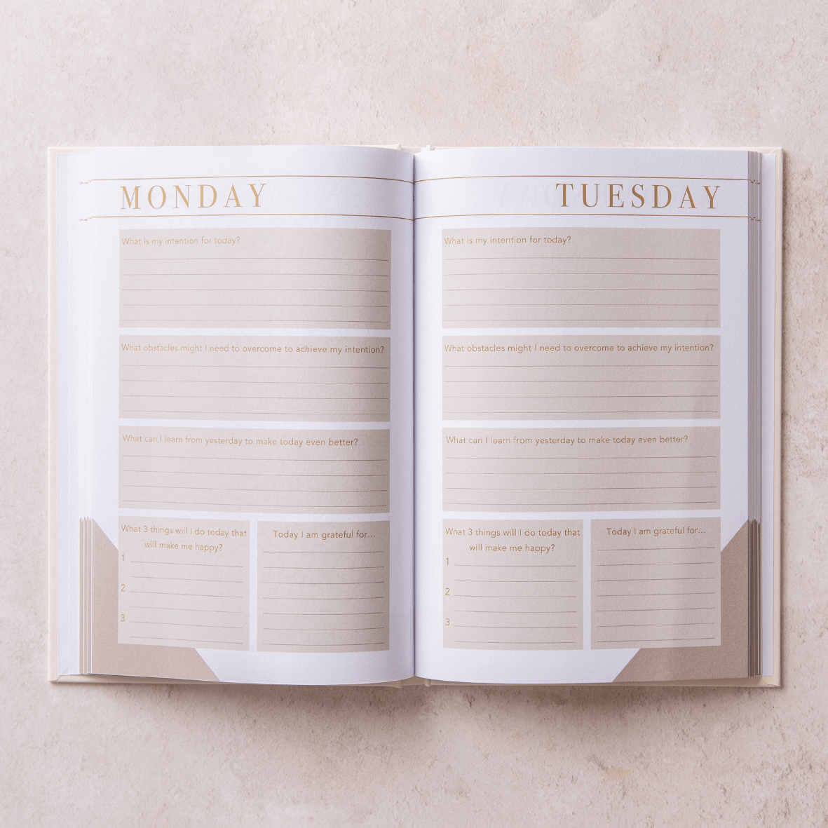 Morning Notes - Daily wellbeing journal LSW opened on Monday and Tuesday page