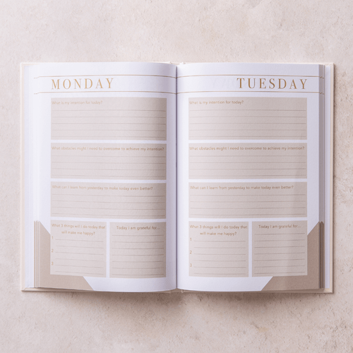 Morning Notes - Daily wellbeing journal LSW opened on Monday and Tuesday page